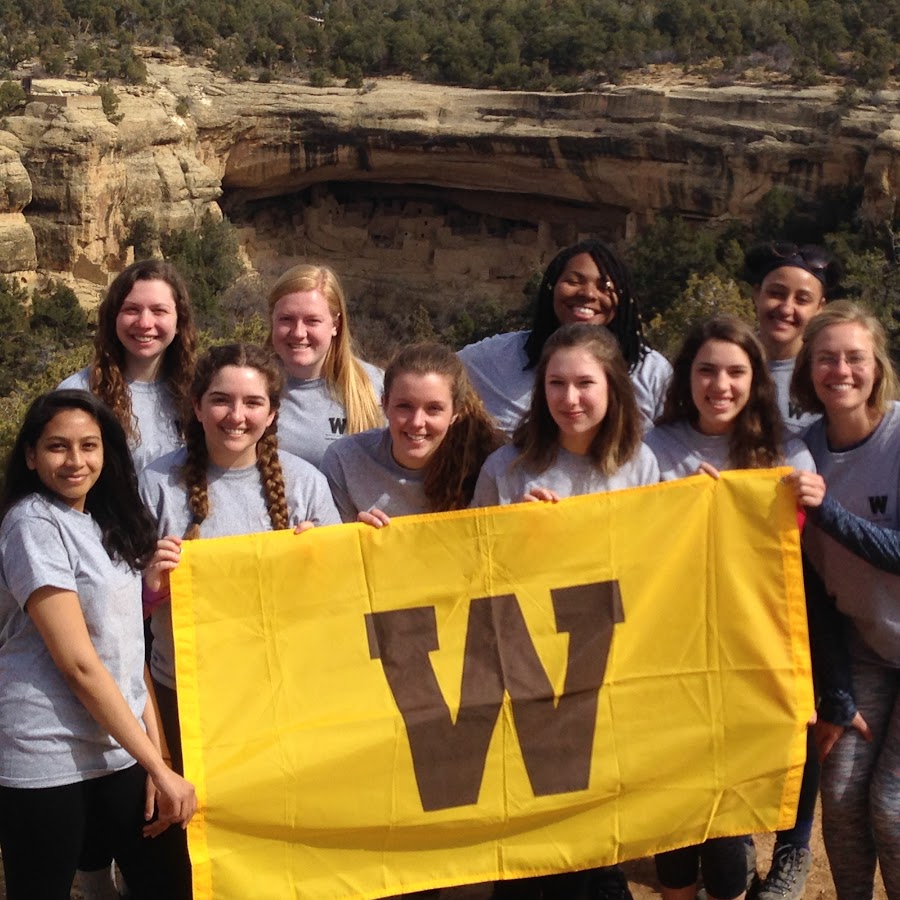 Thesis declaration form wmu picture