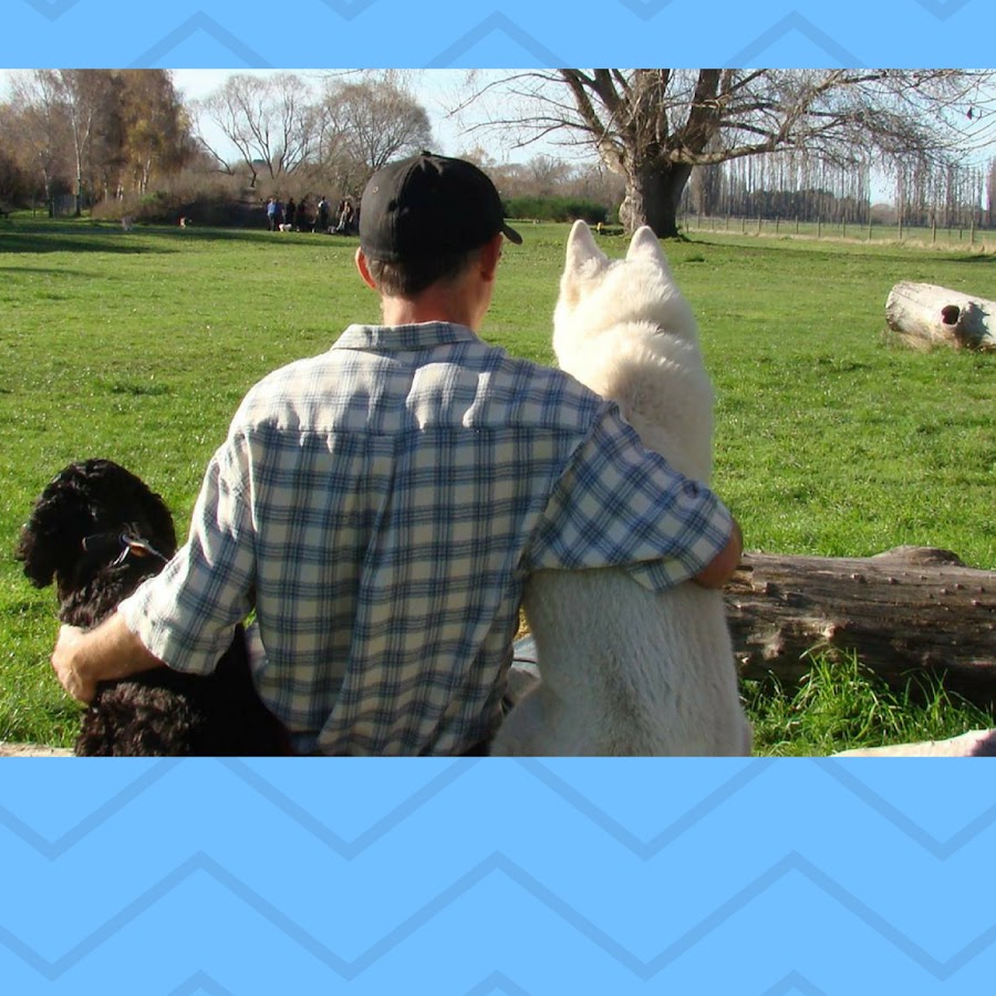 The Dogfather NZ - YouTube