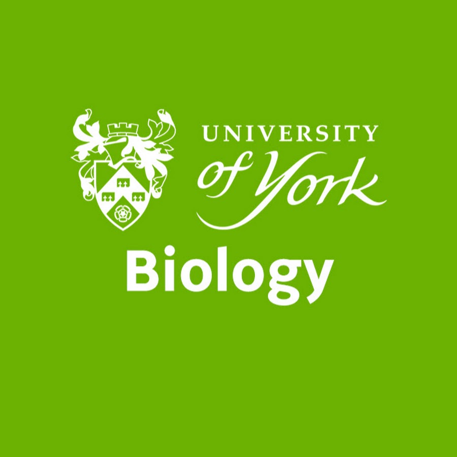 Department of Biology, University of York YouTube
