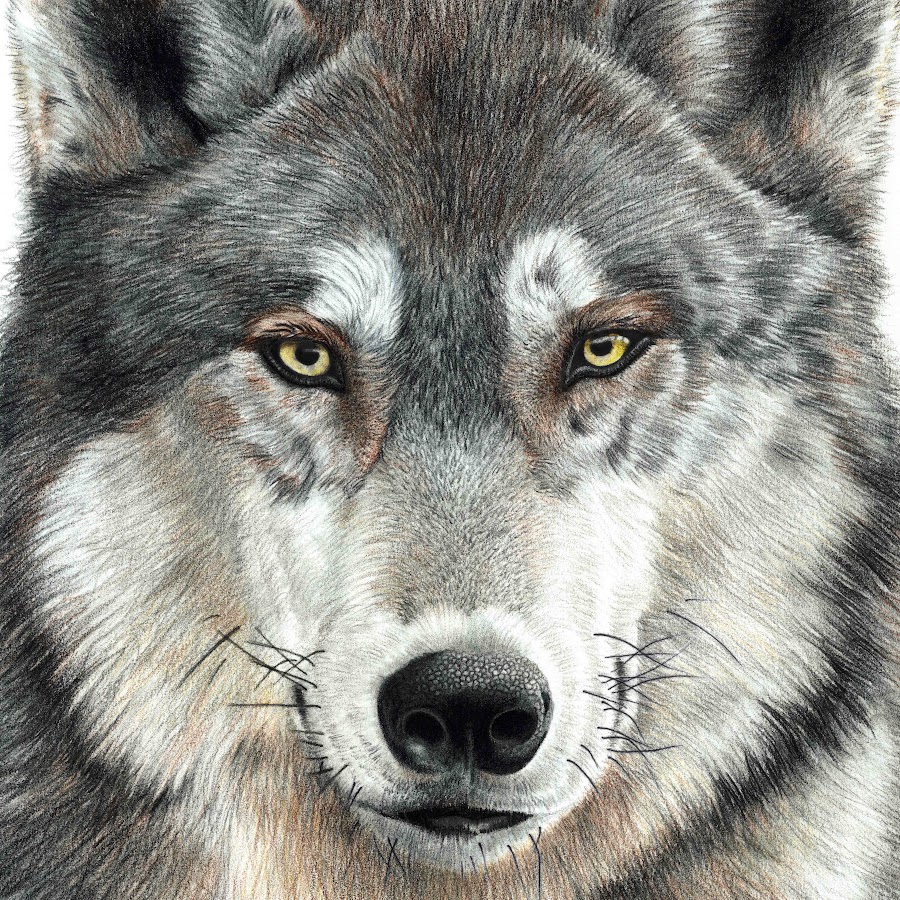 LITTLE BUTTON NOSE NURSERY YouTube