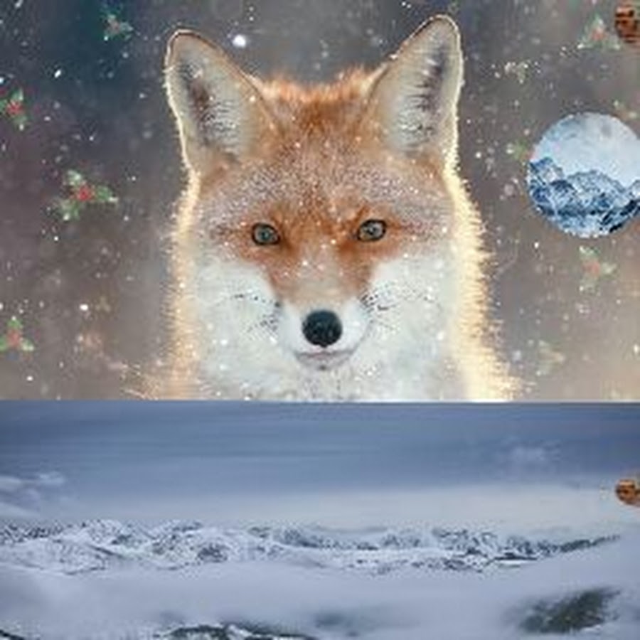 Frozen Fox 809 - YouTube