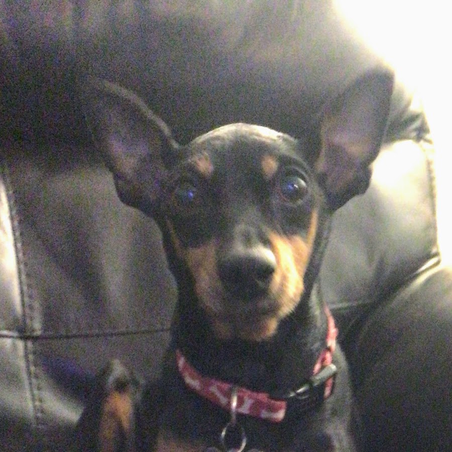 clarice miller - YouTube