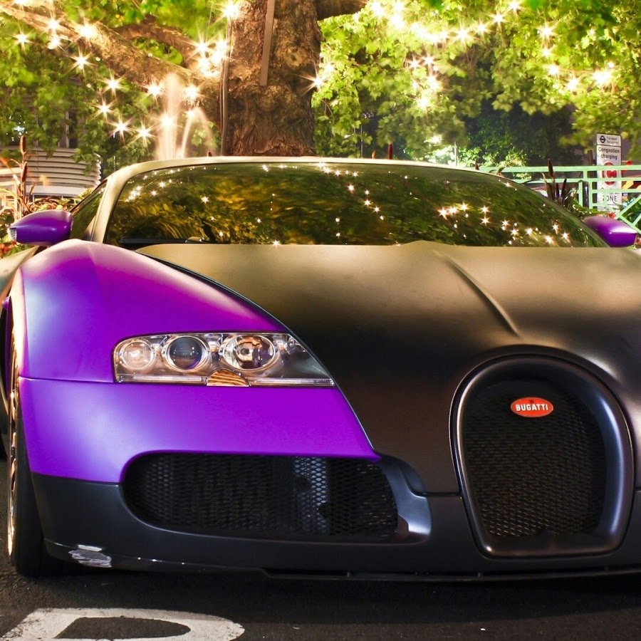 Gavin Cannon Vlogs - YouTube