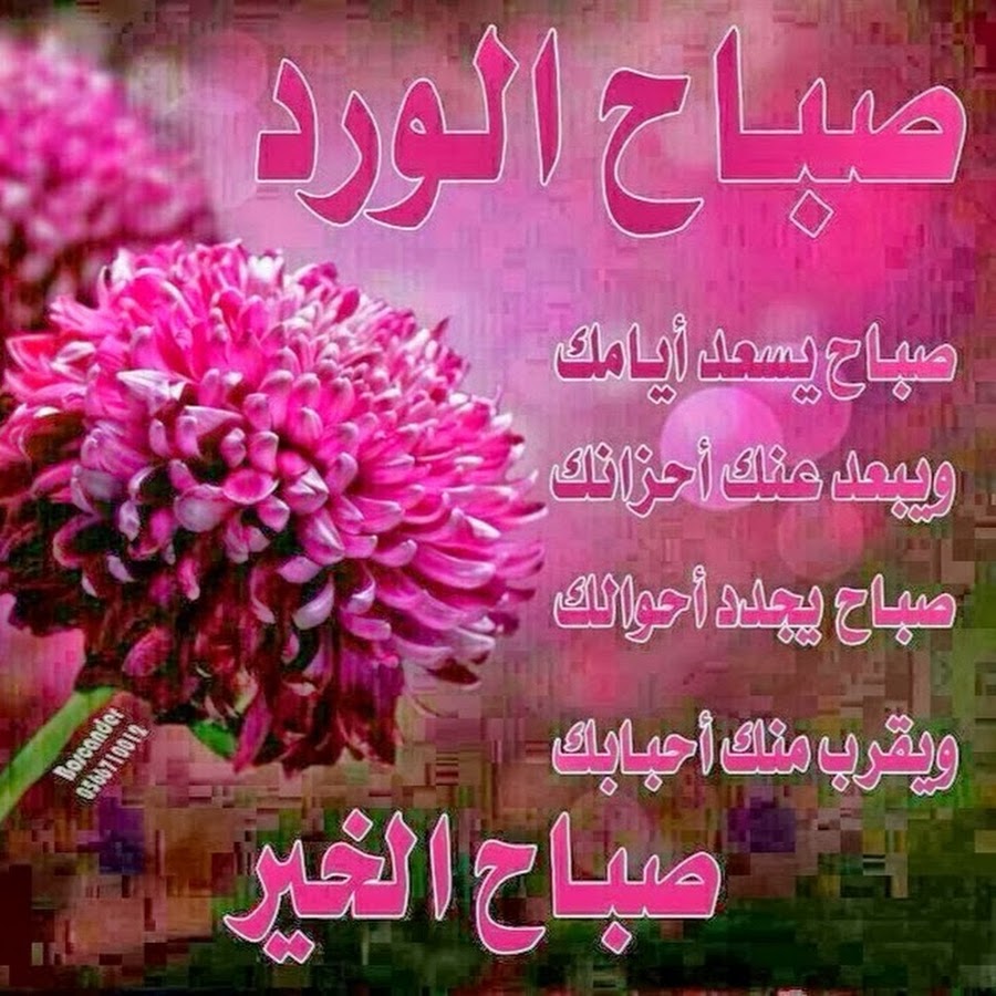 رسالة الجيش المصري لأعدائه ستسحقون ستسحقون