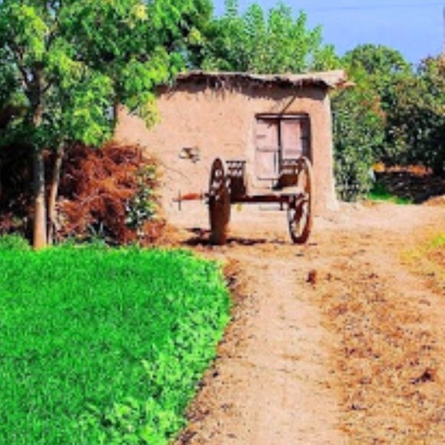Apna Village Tv 