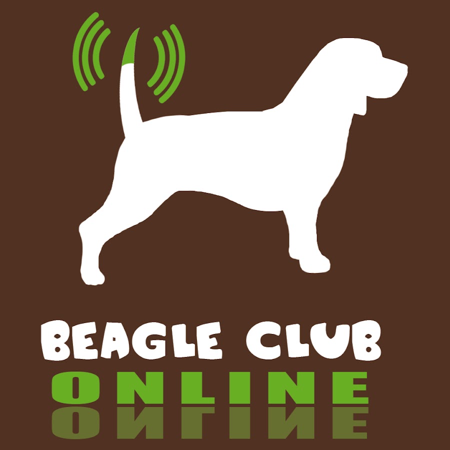 Beagle Club Online YouTube
