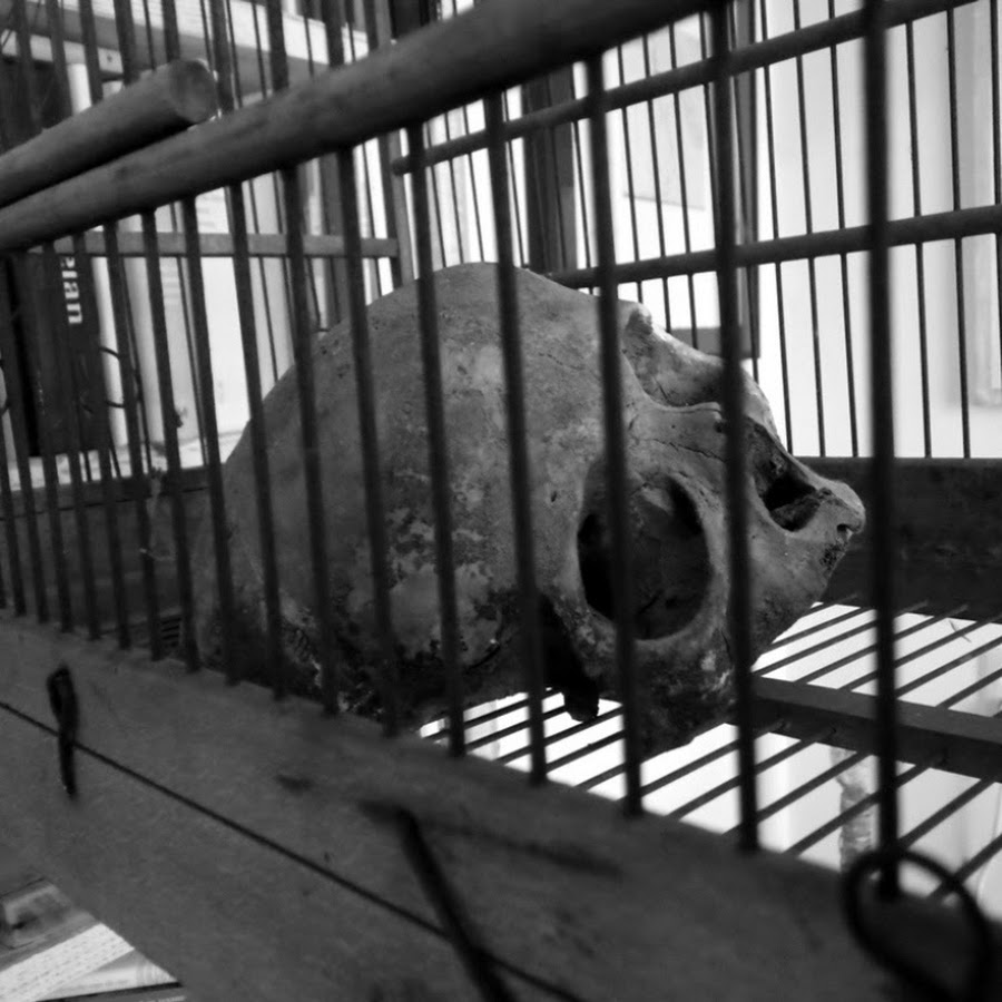 berry zeemensch - YouTube