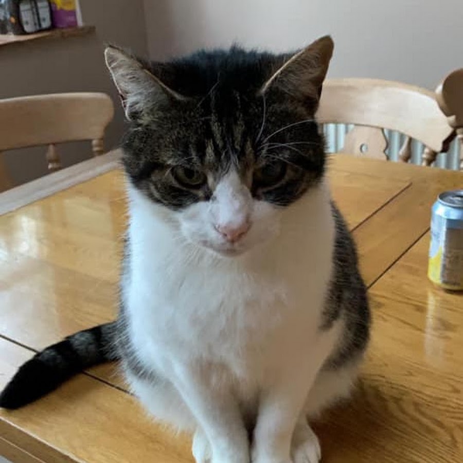 Peppa Pig TV Section - YouTube