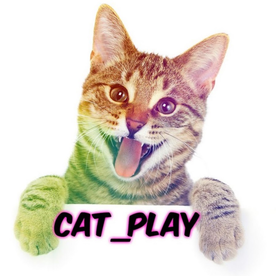 Мальчик с кошкой cartoon. L playing with my cat now. Кот с футбольным мячом. Тренироваться на кошках. Кэт плей.