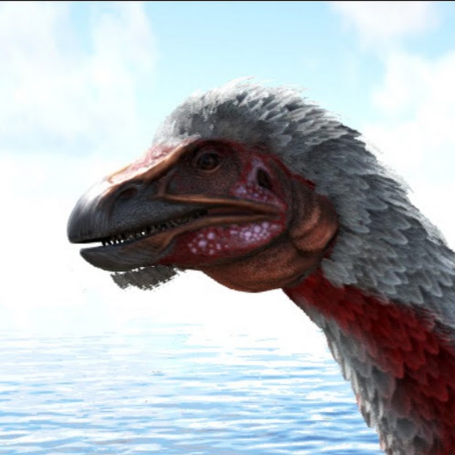 Tickle Chicken - YouTube