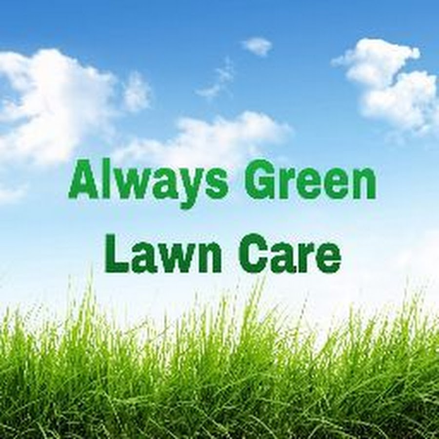 Always Green Lawn Care YouTube