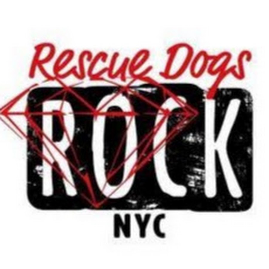 Rescue Dogs Rock NYC YouTube