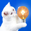 What could Ideas Simples — Simple Ideas buy with $734.6 thousand?