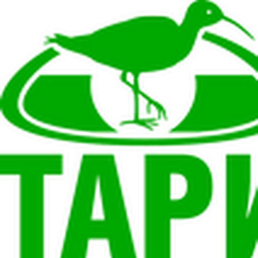 Бобруйск социалистическая улица, 76. Центр тари в бобруйске. Тари бобруйск. Бобруйск ул московская 42. Татарско-американский региональный институт.