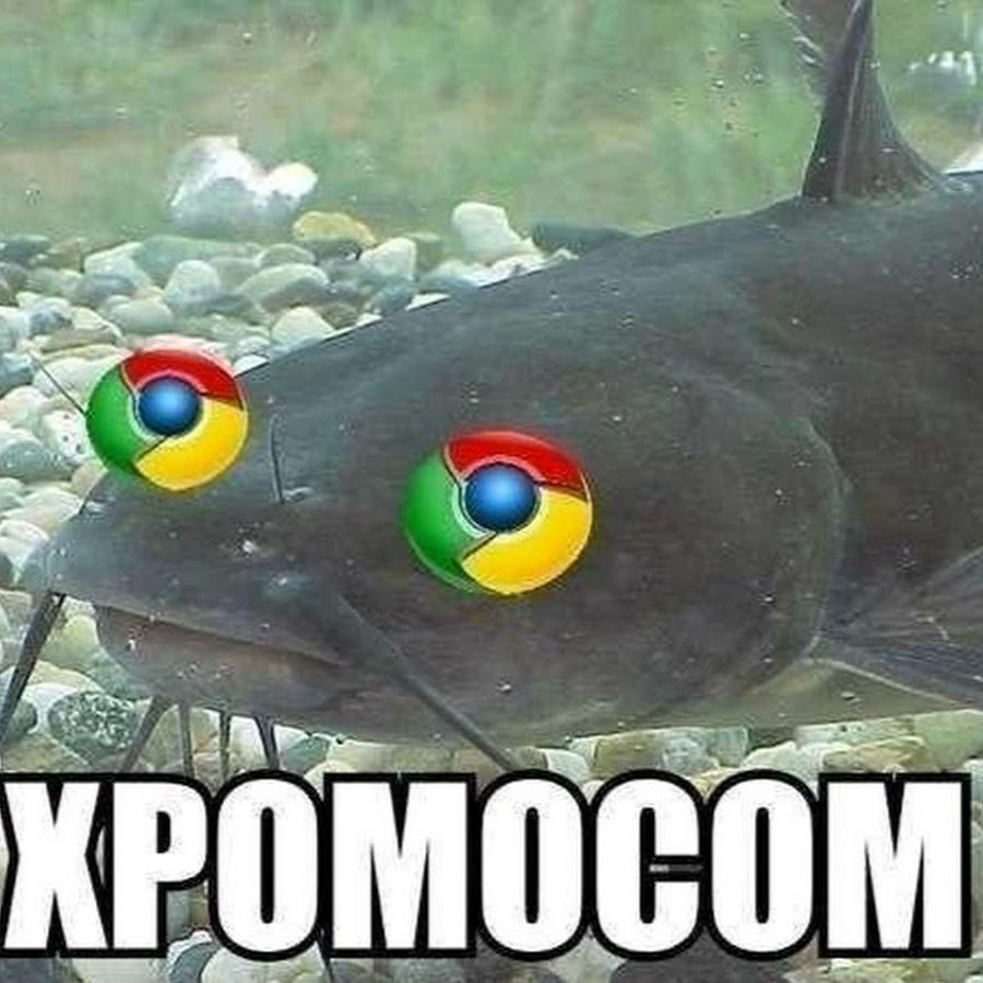 Мемы про рыб