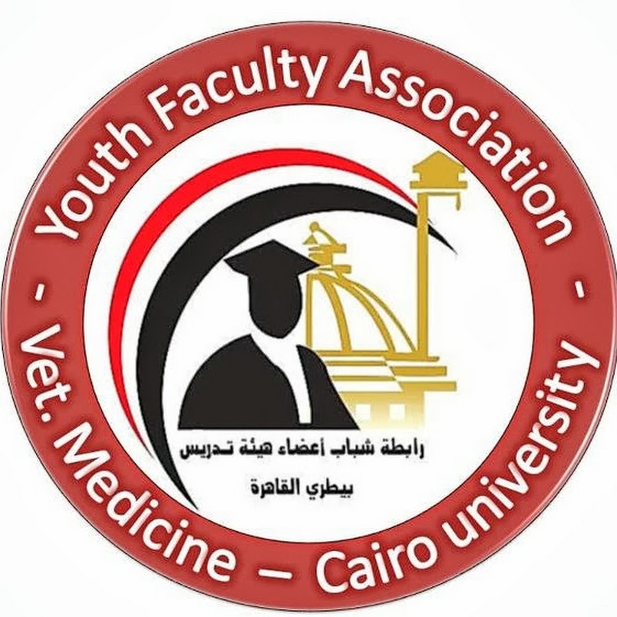 Cairo Vets Staff - YouTube