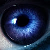cryptoshadow