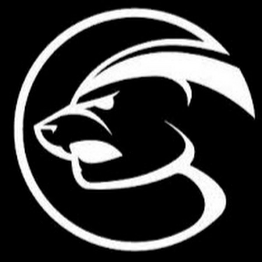 Honey Badger - YouTube