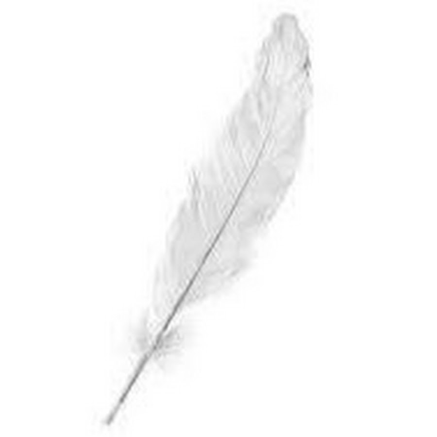 Что значит белое перо. Белое перо. С перьями. Белое перо на прозрачном фоне. Перо реалистичное