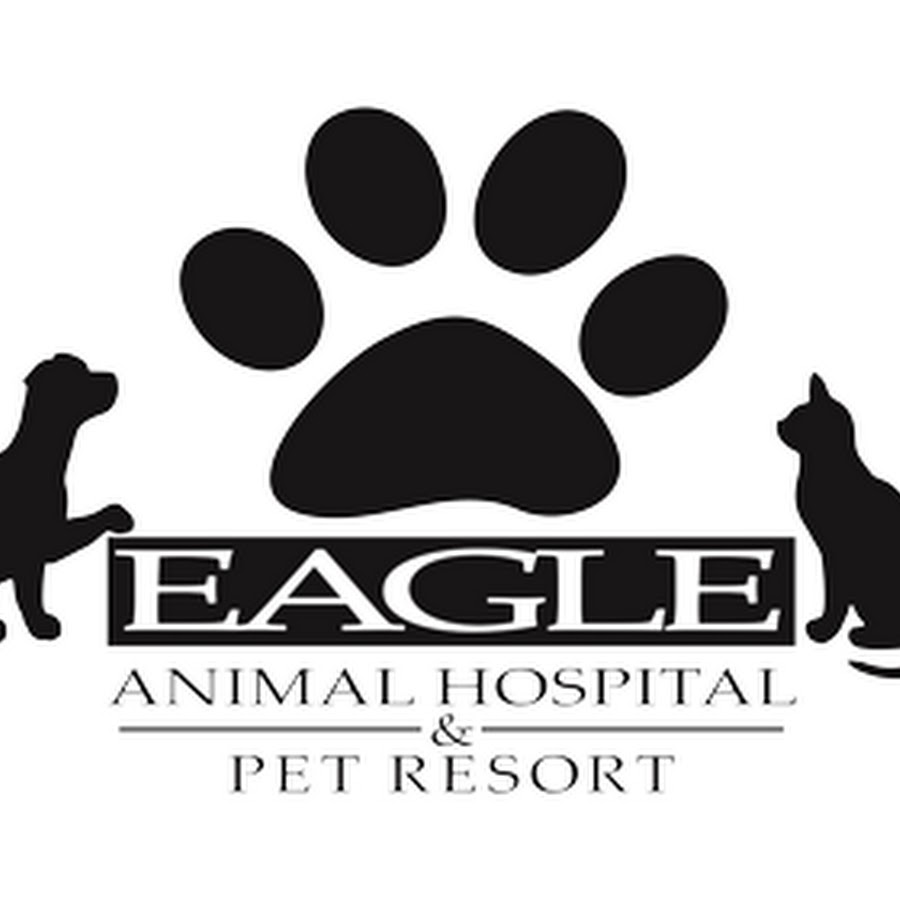 EagleAnimal - YouTube