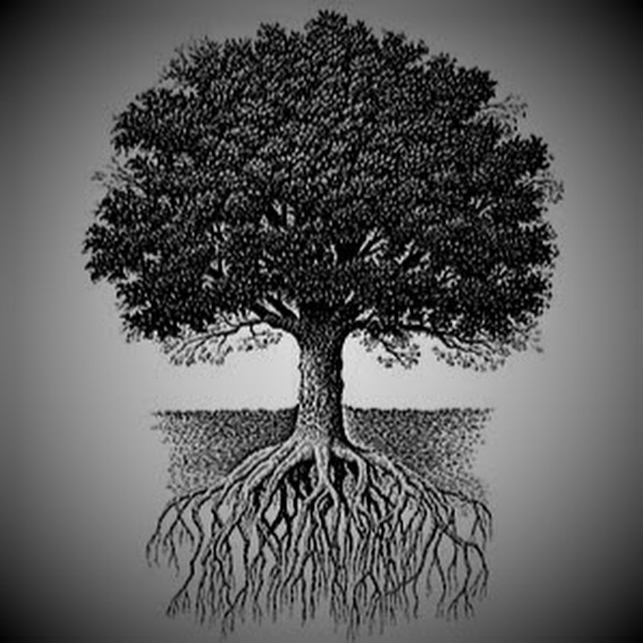 Дерево крона и корни