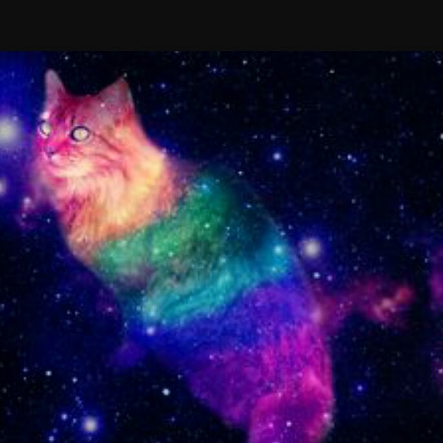 space kitty YouTube