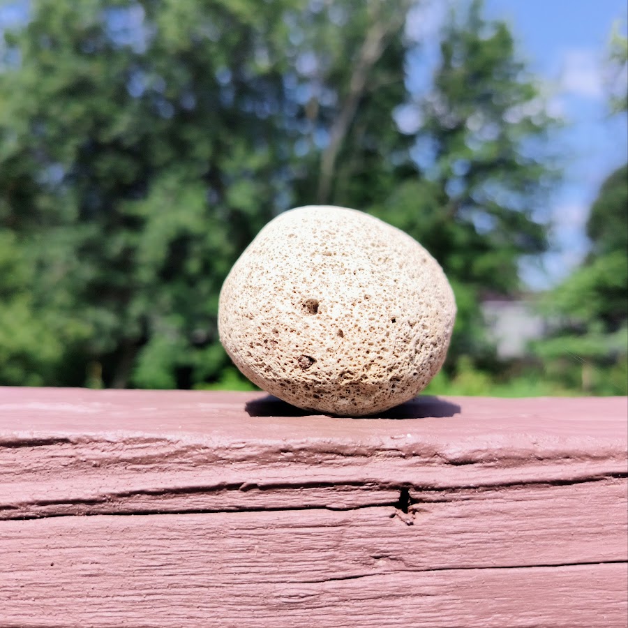 Shark Puppet YouTube