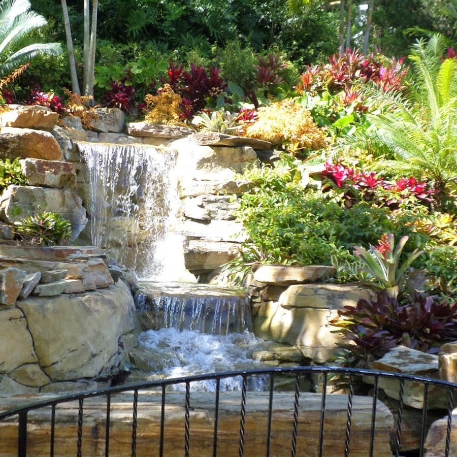 Arianna Alcindor - YouTube