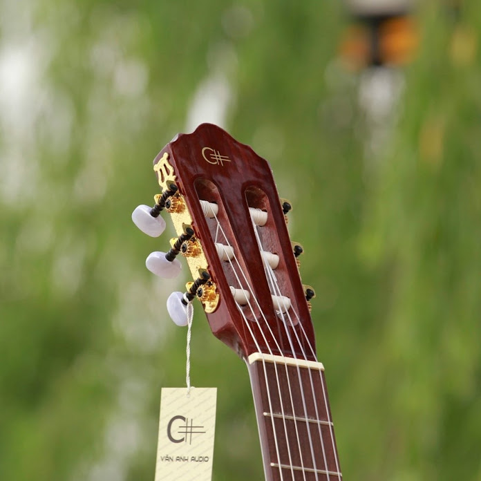 Văn Anh Net Worth & Earnings (2026)