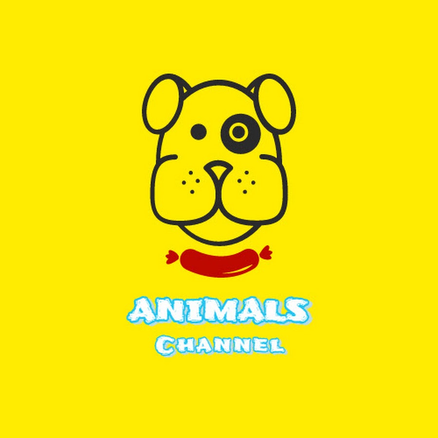 Animals Channel - YouTube
