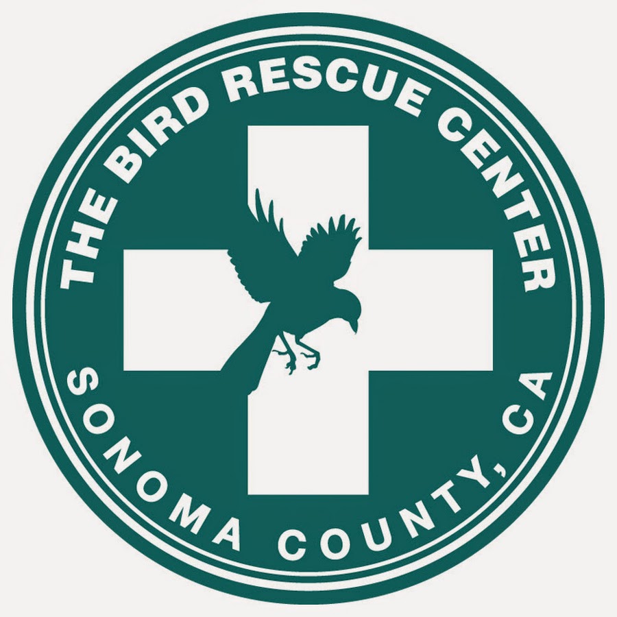 The Bird Rescue Center of Sonoma County - YouTube