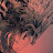 DTheEndeavoring avatar