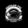 What could ZIEMAR FM buy with $105.5 thousand?