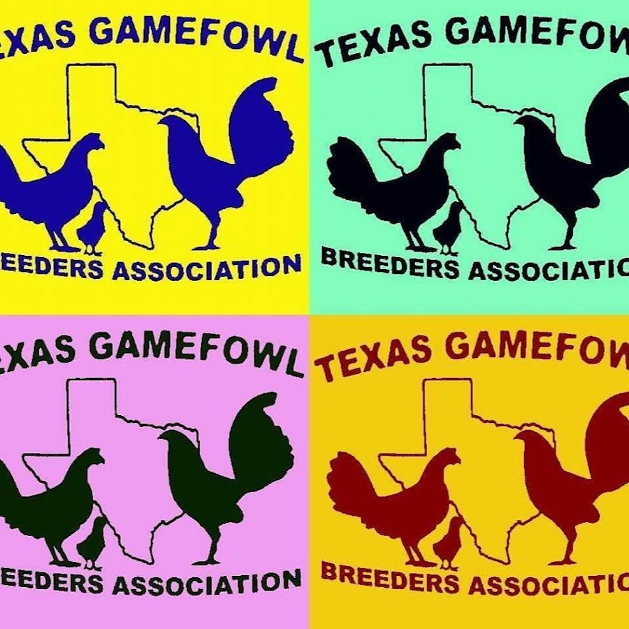 Texas Gamefowl Breeders Association YouTube