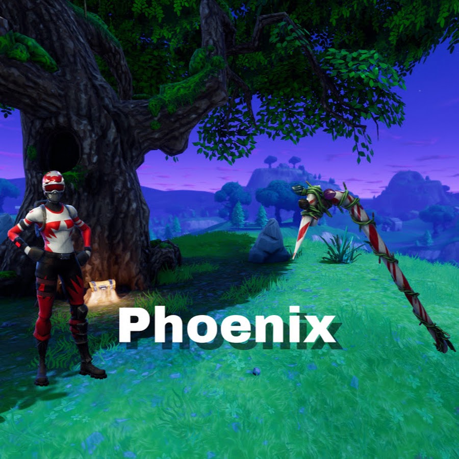 Phoenix Gaming_4321 - YouTube