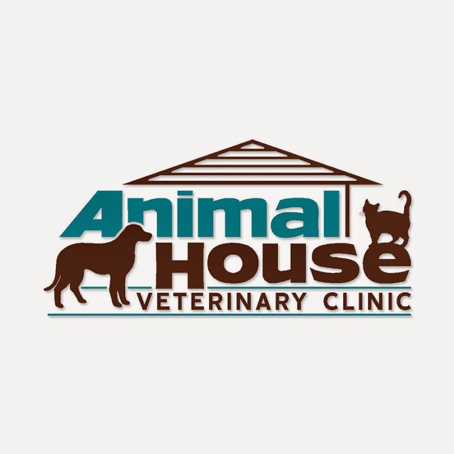 Animal House Veterinary Clinic YouTube