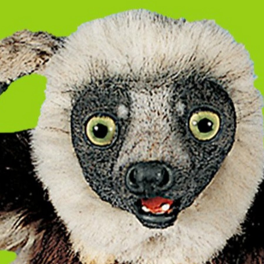 Zoboomafoo The Clown - YouTube.