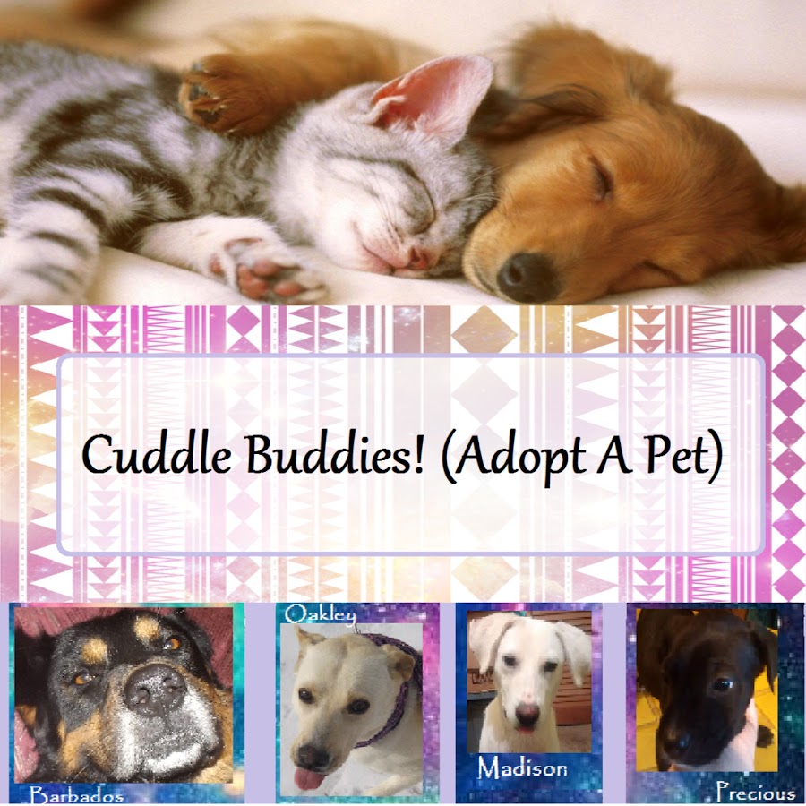 Cuddle Buddies! (Adopt a pet) YouTube