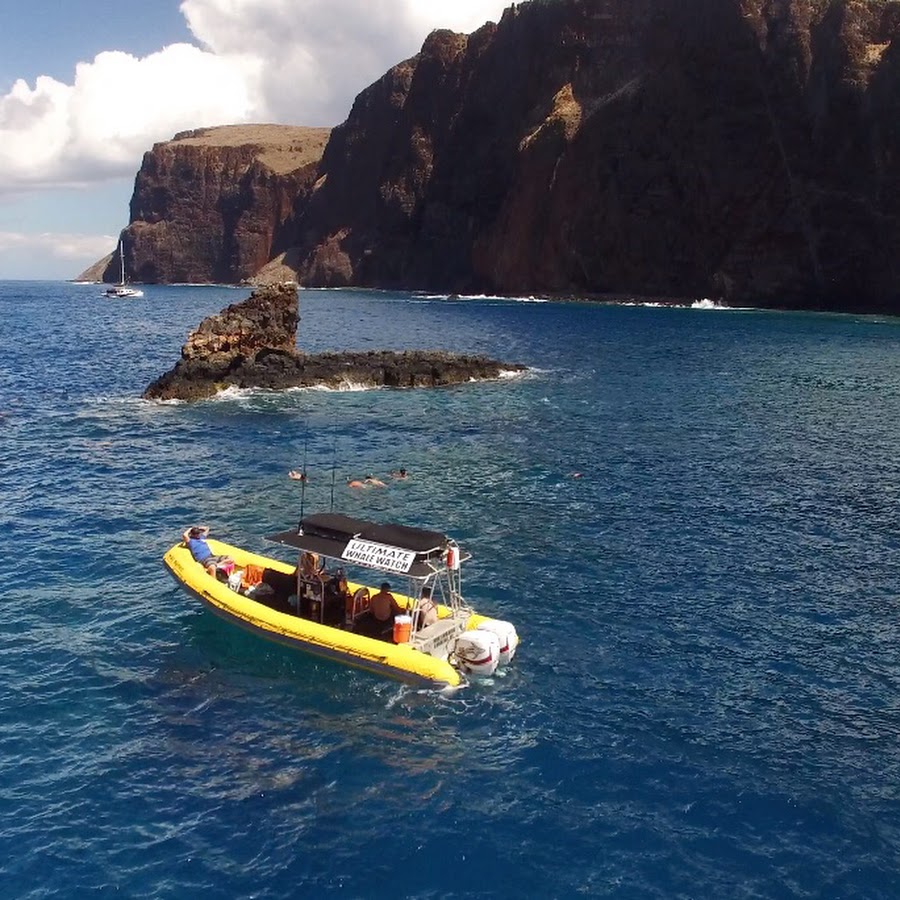 Ultimate Whale Watch & Maui Snorkeling - YouTube