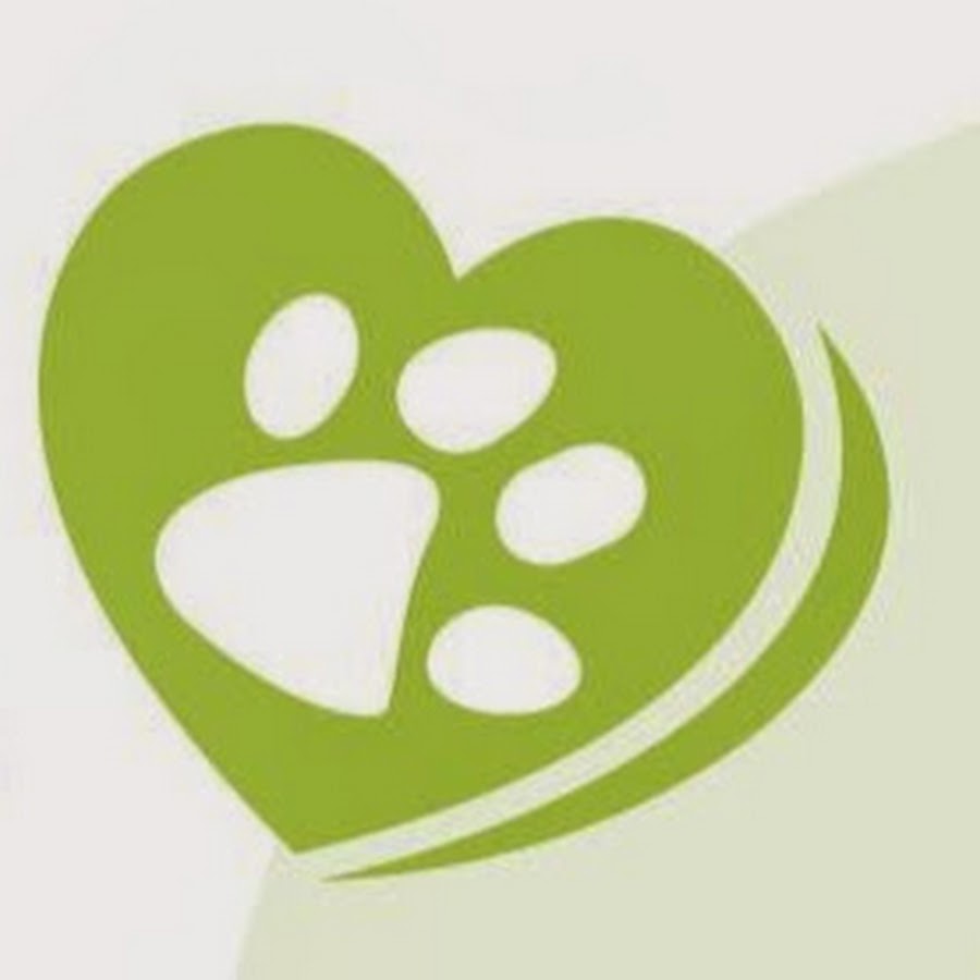 Pet Lovers Animal Hospital YouTube