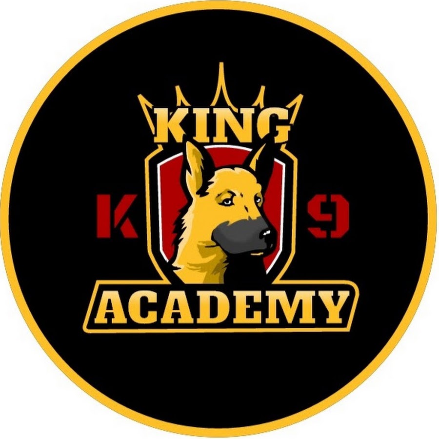 King K9 Academy YouTube