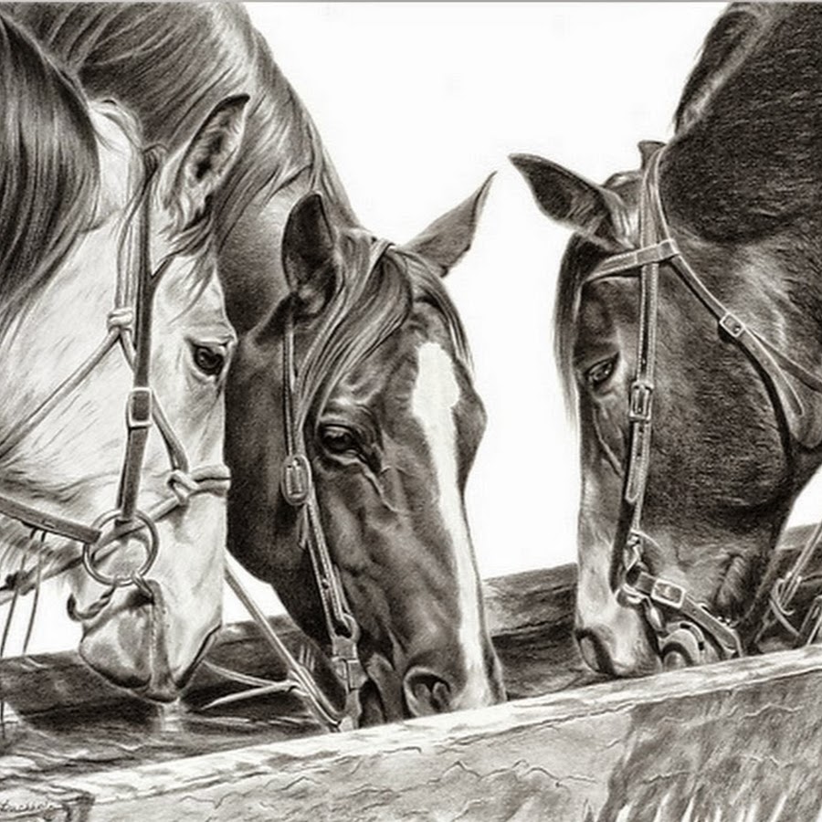 Лошадь с 2 девушками. Картина лошади. Лошадь рисунок. Две лошади картина карандашом. Картинки лошадей карандашом.