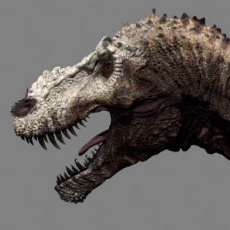 тираннозавр рекс джек. T rex revolution. гуаньлун мир юрского периода. тираннозавр рекс джек. тарбозавр dinosaur revolution.