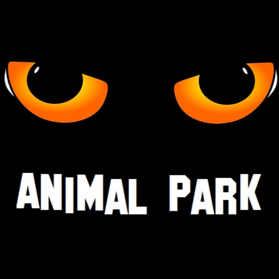 Animal Park YouTube