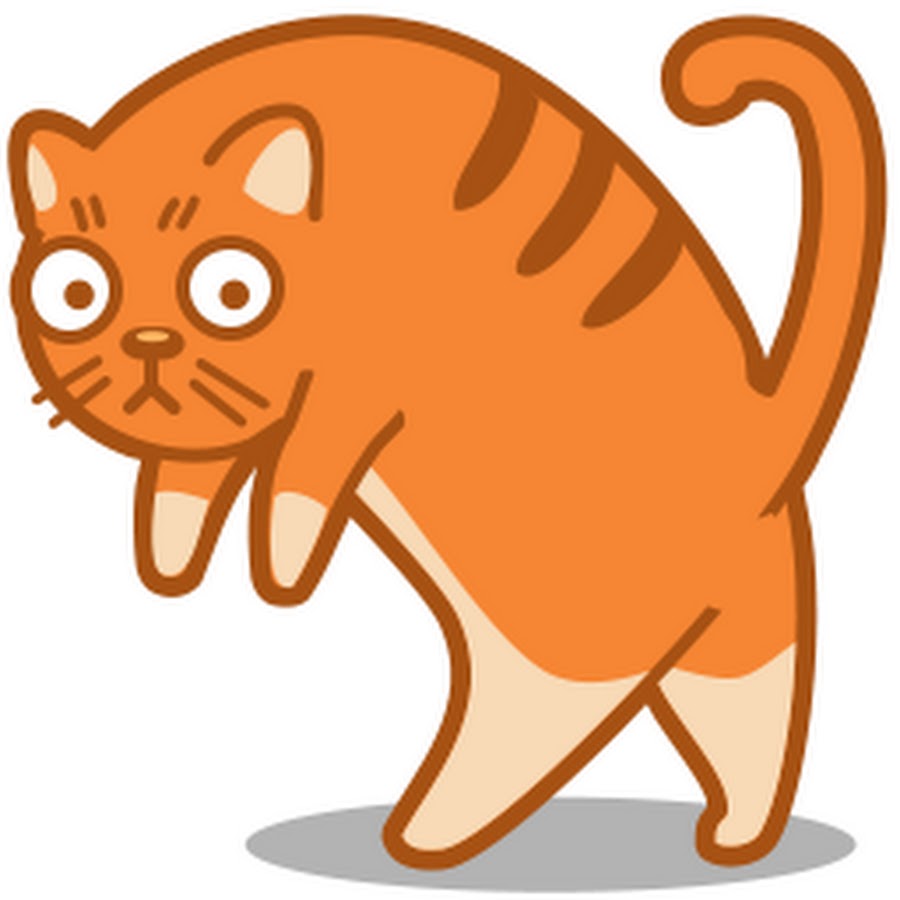 Котики bmp