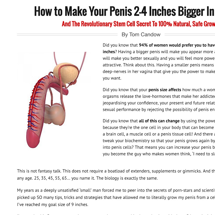 Increase penis tissue