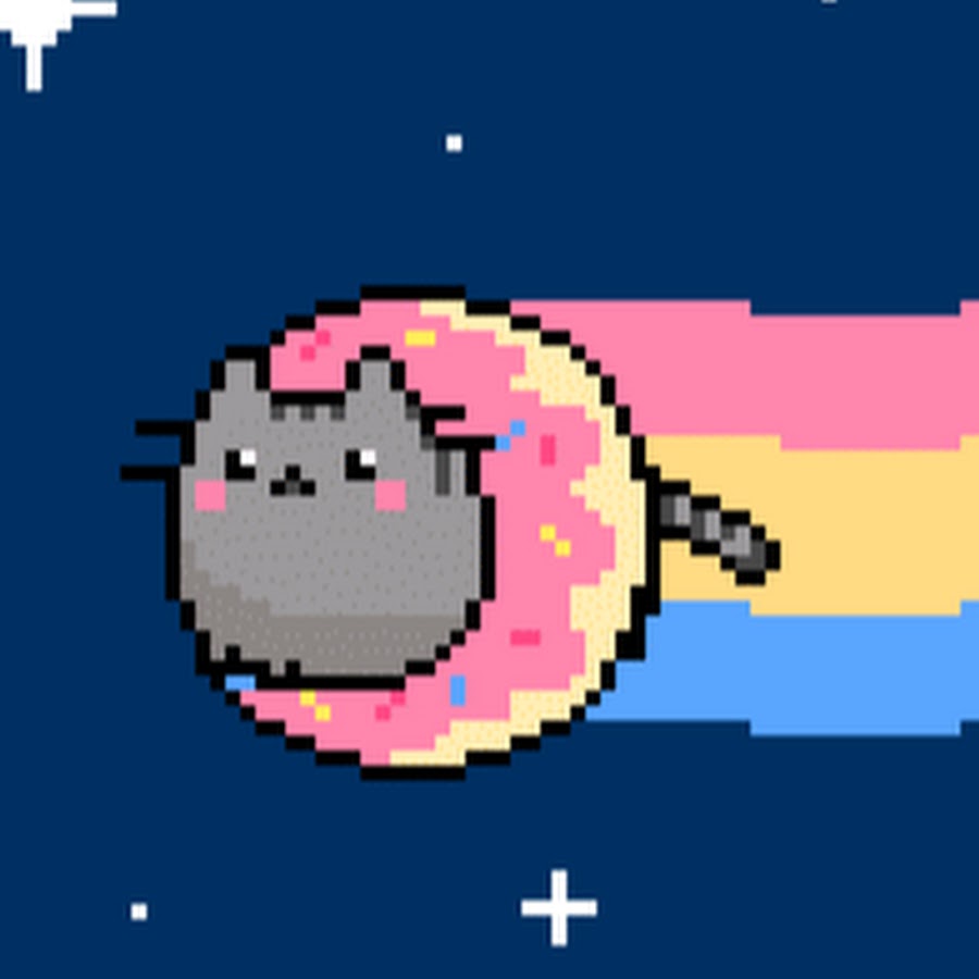 pusheen donut