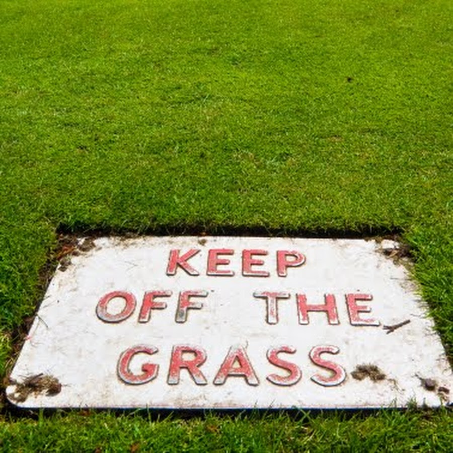 the lunatic is on the grass - YouTube