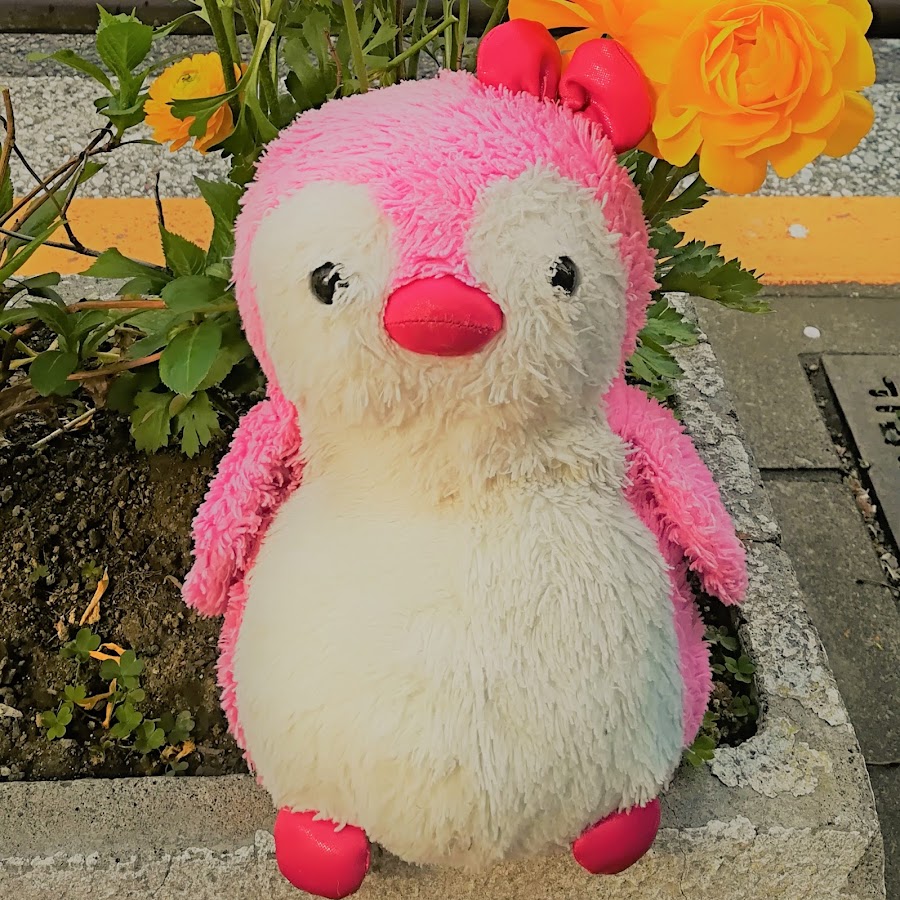 pink penguin teddy