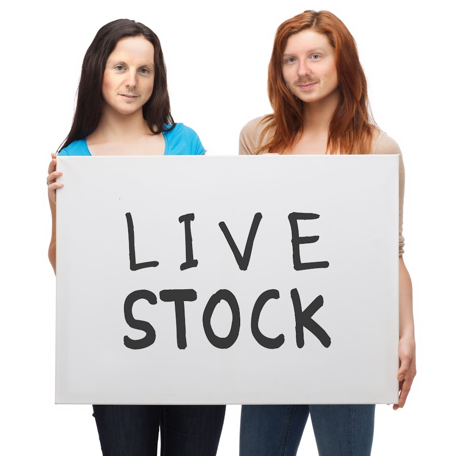 Live Stock 
